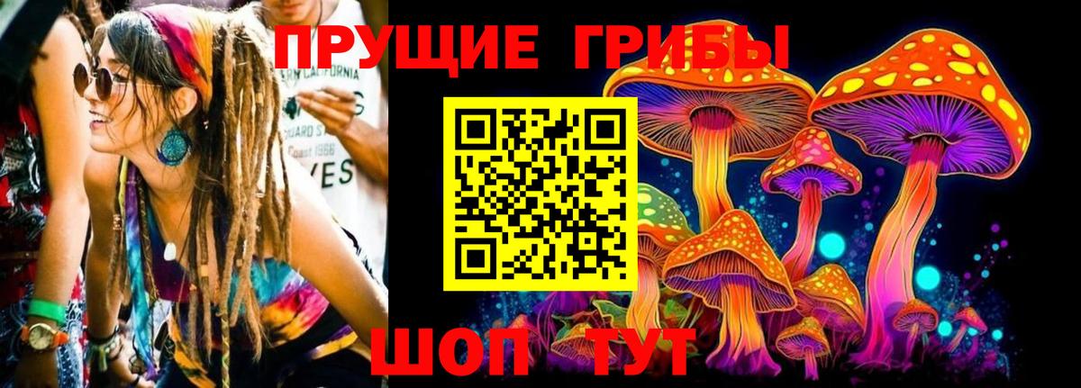 Псилоцибиновые грибы MAGIC MUSHROOMS  Псилоцибиновые грибы MAGIC MUSHROOMS  Курчатов  Вход с VPN 